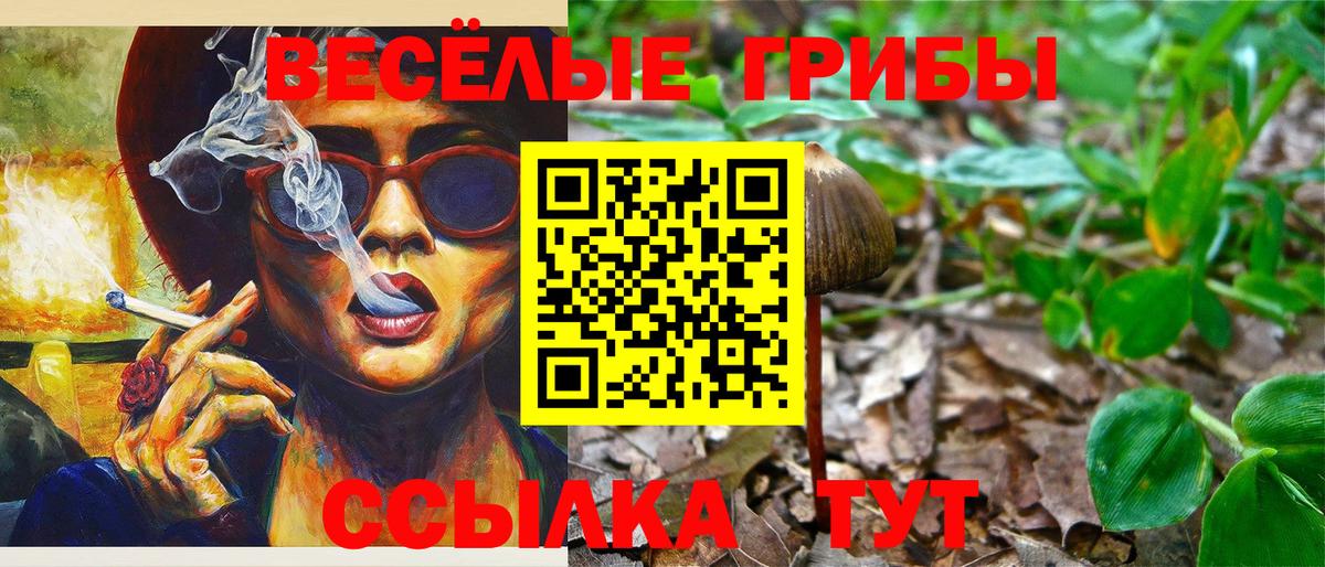 Галлюциногенные грибы Psilocybine cubensis Белгород