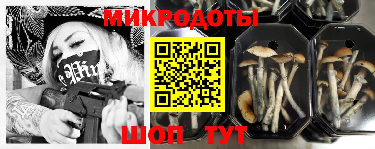 Галлюциногенные грибы ЛСД  Галлюциногенные грибы Magic Shrooms  Вход с VPN  Белгород 
